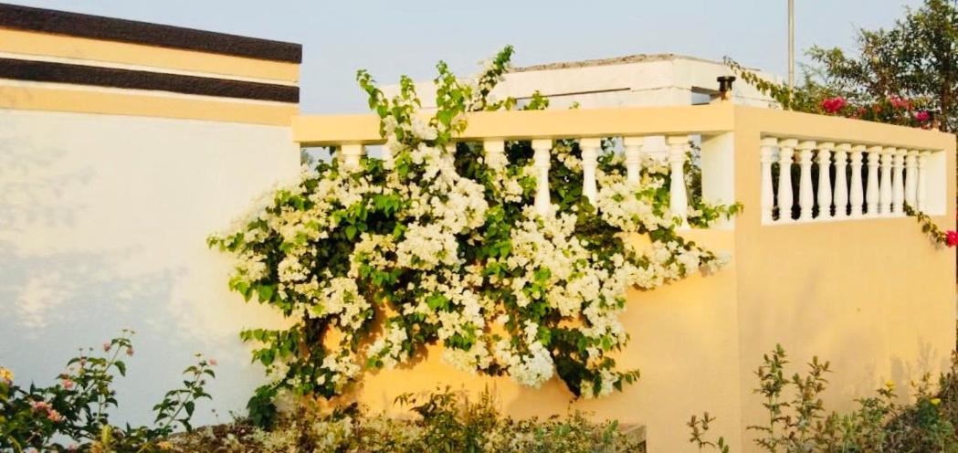 Royal Meadows - Igatpuri Bungalow B Ngoại thất bức ảnh