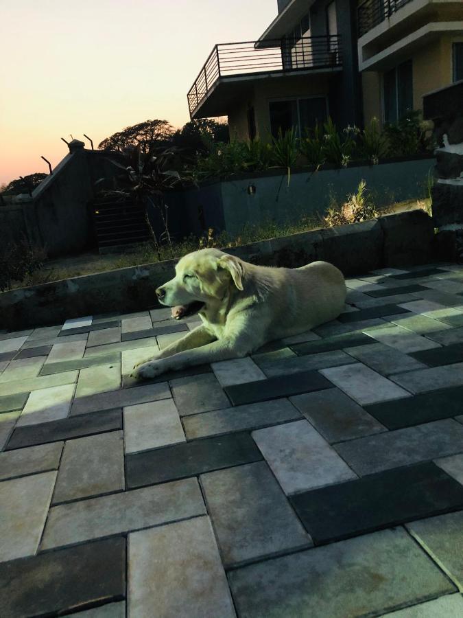 Royal Meadows - Igatpuri Bungalow B Ngoại thất bức ảnh